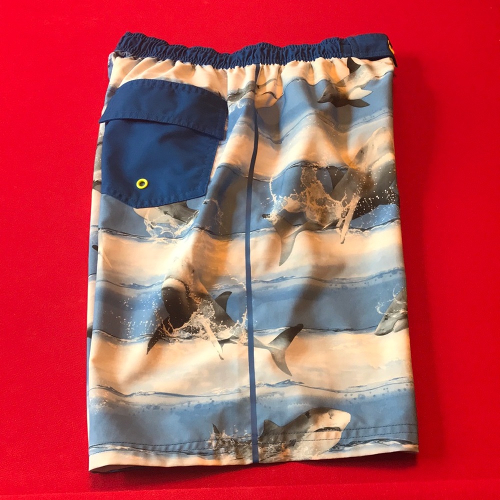 Boys Swim Trunks Size Xl (14-16)